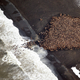 Illustration for article titled Massive Congregation Of 35,000 Walruses Linked To Climate Change